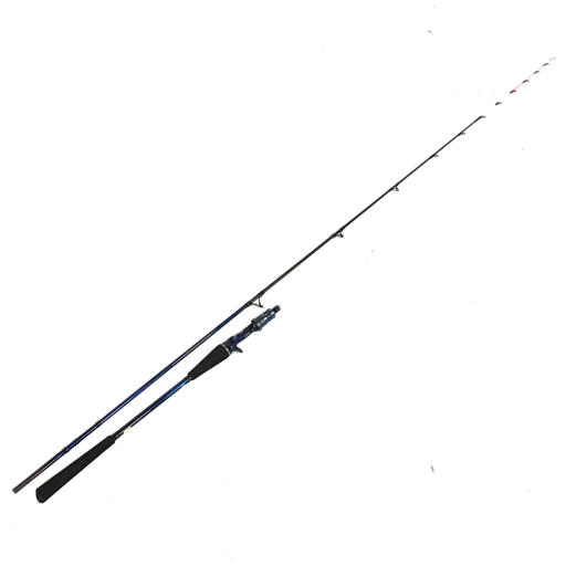 DAIWA 1円 DAIWA 極鋭 タチウオテンヤSP 73-190 AGS 海水 船竿 フィッシング用品